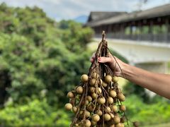 -福建鲤鱼洲酒店