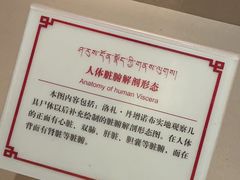 -青海藏文化博物院
