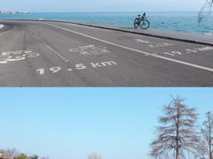 -聚焦旅拍(大理店)