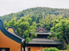 -东明山森林公园