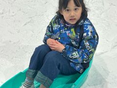 -世界之窗阿尔卑斯冰雪世界