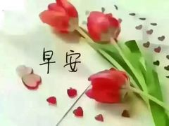 -中国徽菜·徽商故里(广安门店)