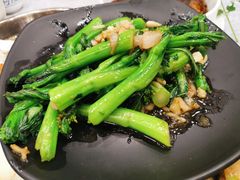 生炒连州菜心-粤·向群饭店(龙津东路总店)