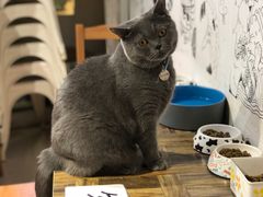 -小时光咖啡馆(开森度假森林店)