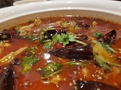 -九老汉·川渝江湖菜(合川路2店)