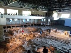 -自贡恐龙博物馆