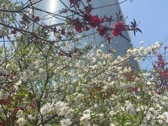 -肯德基(京广桥店)