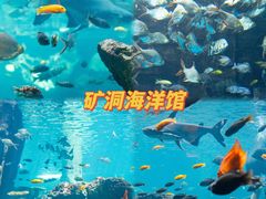 -长鹿旅游休博园