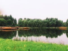 -东郊湿地公园