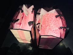 -Victoria's Secret(苏州中心全品类店)