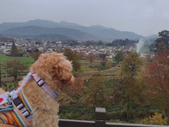 -塔川景区