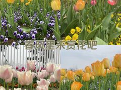 -苏州上方山国家森林公园