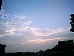 -1点点(清湖地铁店)