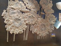 -证大大拇指广场(芳甸路店)