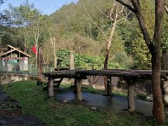 -都江堰中华大熊猫苑