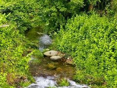 -会稽山峡洞漂流-上青古道
