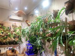 -Rabbit Cafe私房西餐甜点咖啡(栖霞路店)