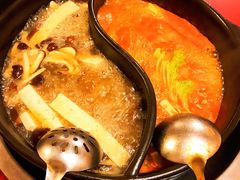 -乳仔牛牦牛汤锅 烤羊排(松潘古城店)