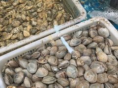 -和源祥·日照菜扛把子(万平口一店)