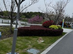 -昆山城市生态森林公园