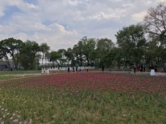 -北陵公园