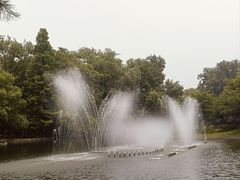 -上海共青森林公园