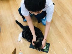-猫冇咖·家门口的撸猫馆(大融城店)