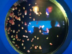 -太平洋海底世界