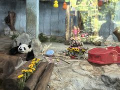 -海南热带野生动植物园
