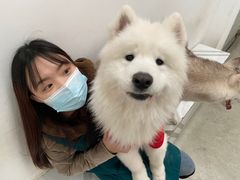 -星多哈·狗咖·拼豆·咖啡
