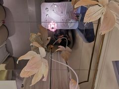 -晶雅花园西餐厅(南京首店)