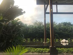 -三亚湾红树林度假世界(木棉酒店)