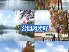 -重庆彩云湖湿地公园