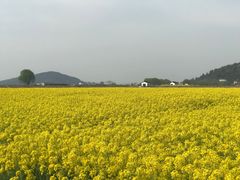 -缥缈峰景区