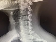 -上海中医药大学附属曙光医院(东部)