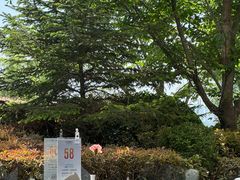 -海景花园大酒店·西餐厅