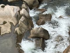 -崂山水果园农家宴(泉水鸡店)