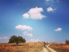 -塞罕坝国家级自然保护区