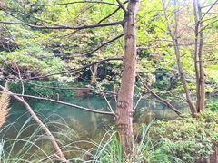 -阿哈湖国家湿地公园