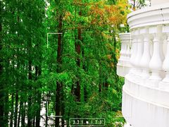 -上海虹桥迎宾馆
