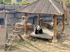 -石家庄市动物园