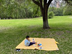 -长白岛森林公园