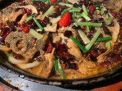 老板恋上鱼-老板恋上鱼(恒隆广场店)