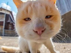 -天使咖啡(兴新街店)