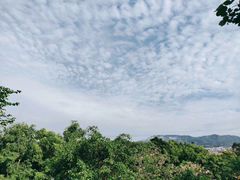 -火炉山森林公园