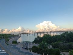 -宝安西湾红树林湿地公园