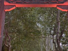 -杭州黄龙洞