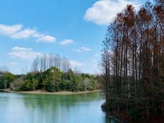 -上海海湾国家森林公园