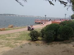 -丁香湖公园