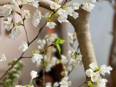 -花二家·生活馆(六运小区店)